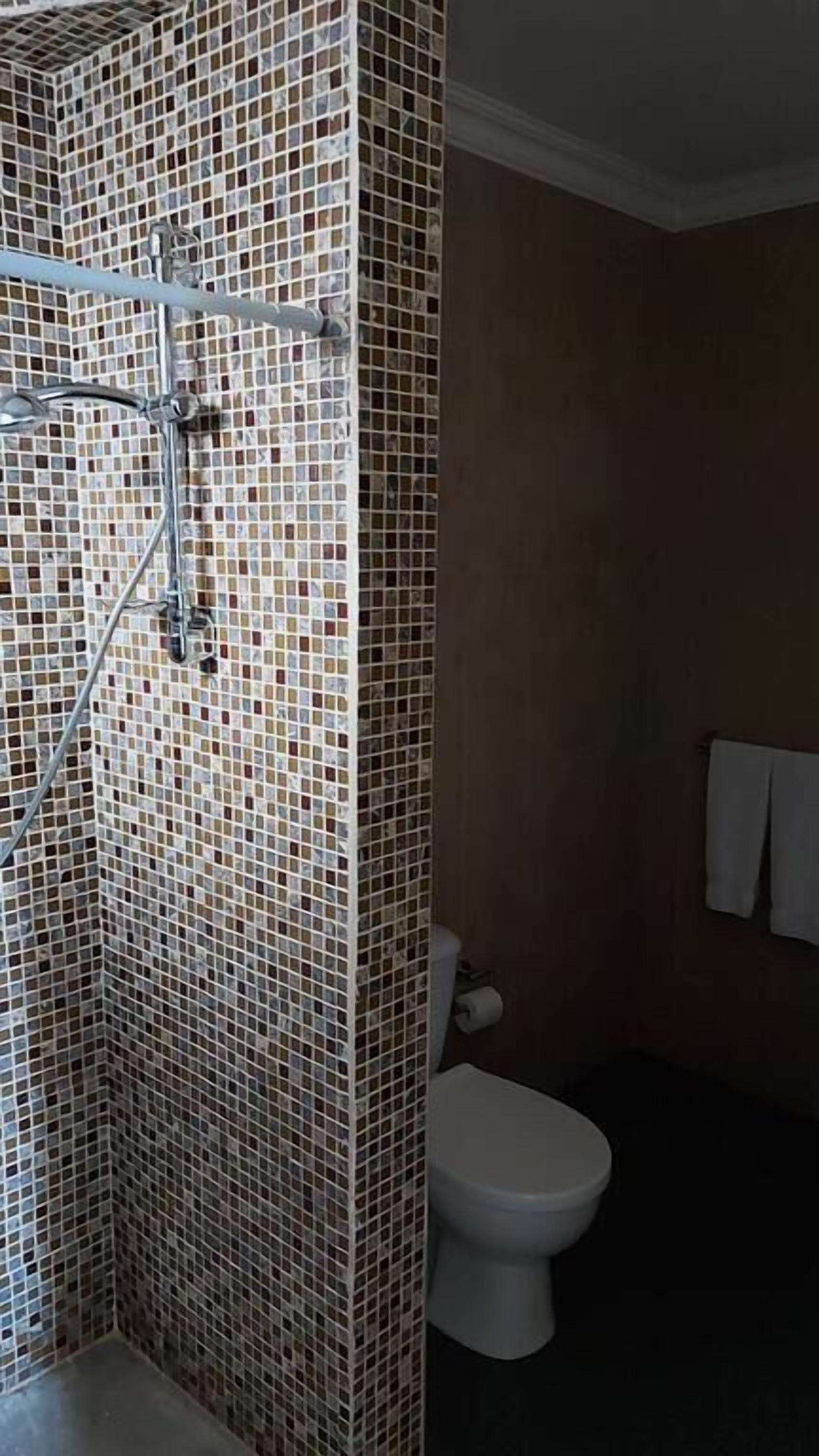 A bathroom with a shower area featuring mosaic tile walls, a toilet, and a towel hanging on the wall.