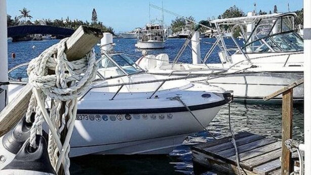 A marina with boats docked, a wooden dock, and a clear blue sky. - Lemon and Ginger (Pembroke Parish)
