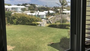 A view through a window with a mesh screen, displaying a residential area with houses, greenery, and a clear sky. - Lemon and Ginger (Pembroke Parish)