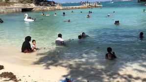 A beach scene with clear turquoise water, people swimming and sunbathing, and a swan floating nearby. - Lemon and Ginger (Pembroke Parish)