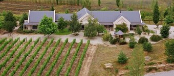 Hawkdun Rise Vineyard & Accommodation