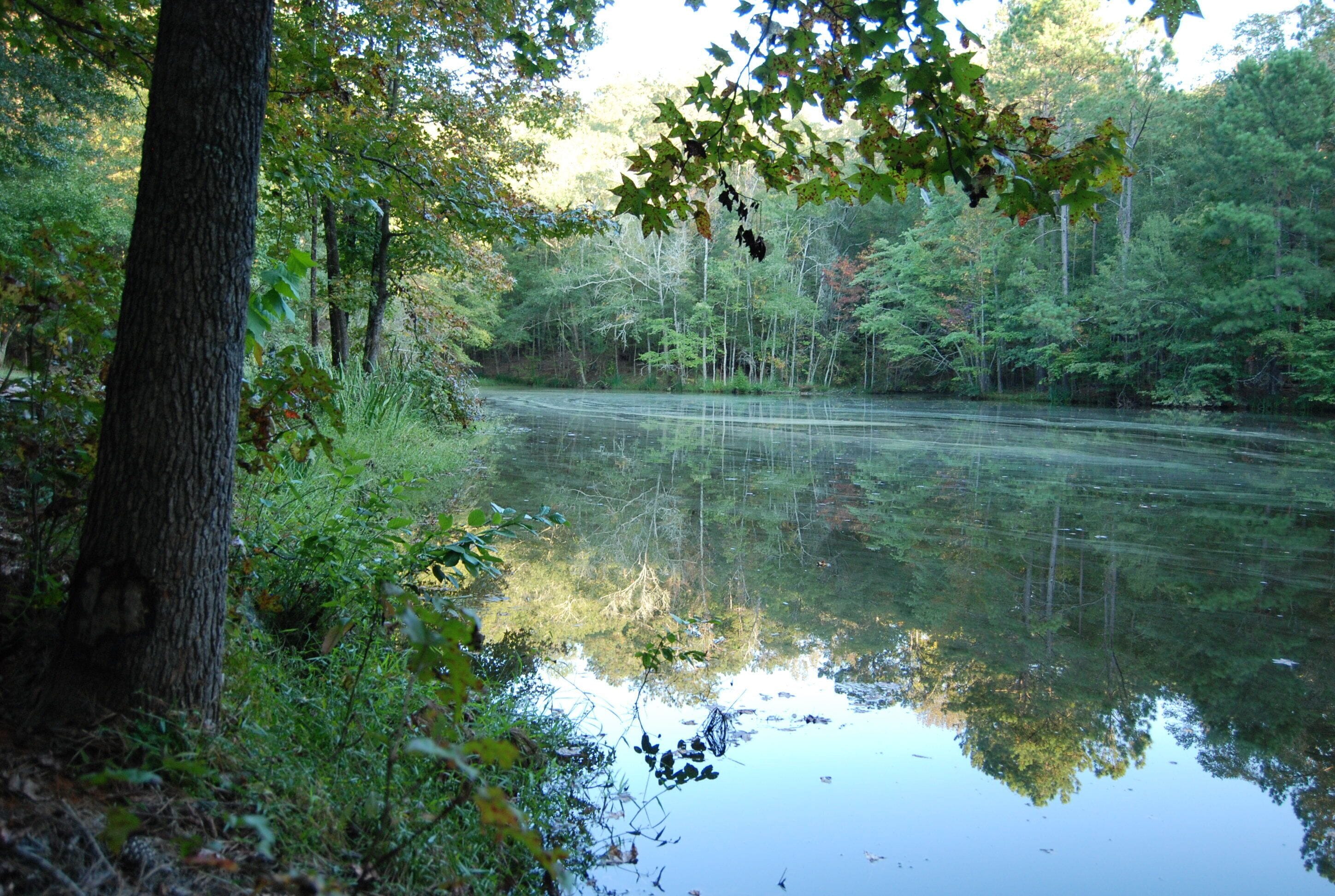 Colonels B & B — photo 13