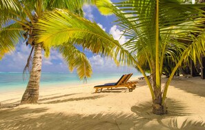 Una playa con una sola silla de descanso y palmeras.