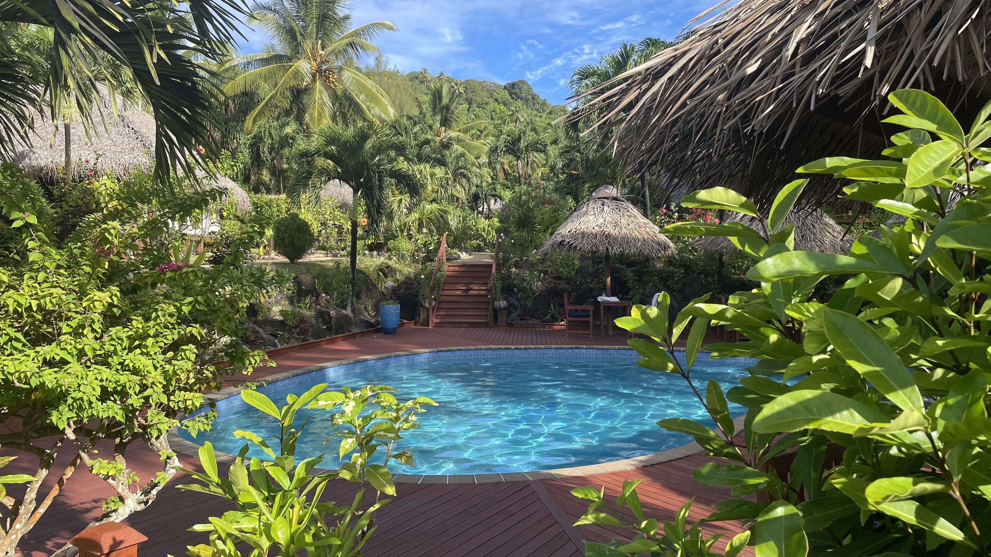 A pool surrounded by lush greenery and a wooden deck.
