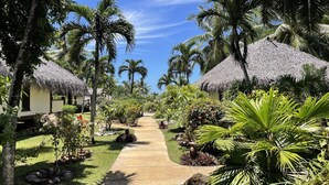 A pathway leading to thatched-roof structures surrounded by tropical vegetation. - Etu Moana Boutique Beach Villas - Adults Only (Aitutaki)