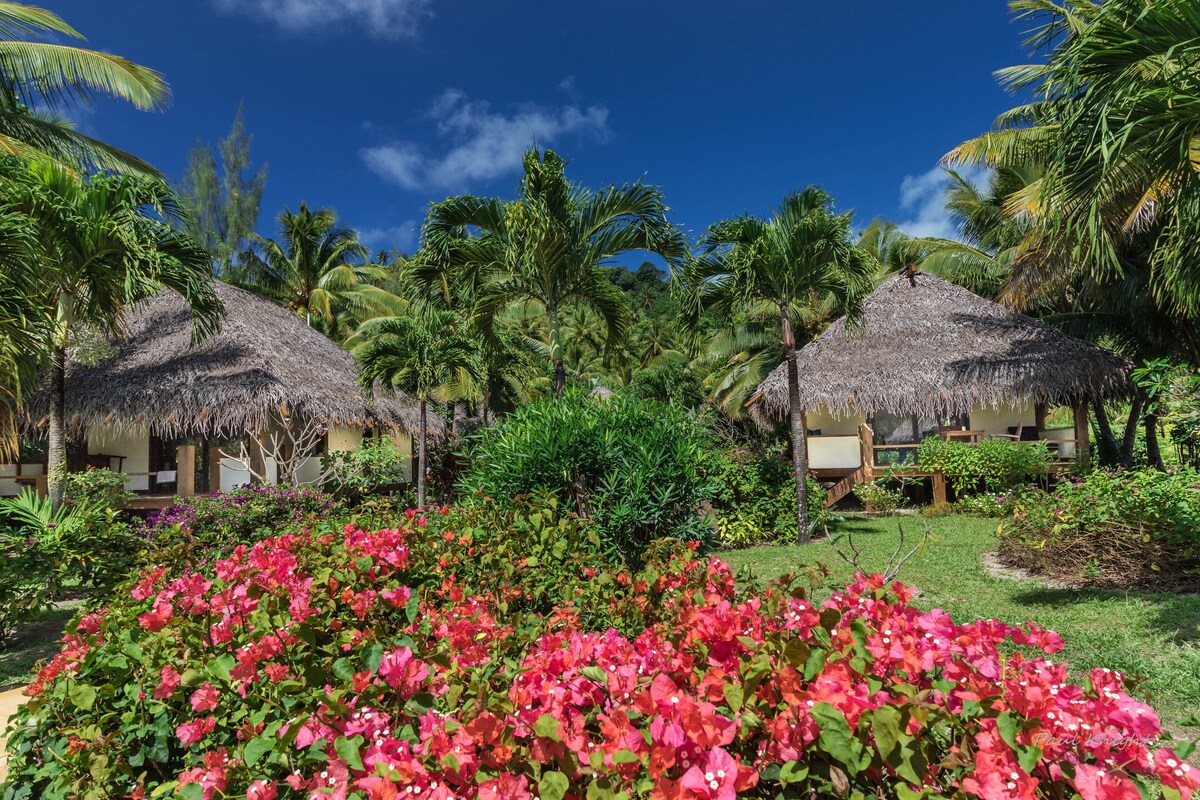 A resort with thatched-roof huts, lush greenery, and vibrant pink flowers.