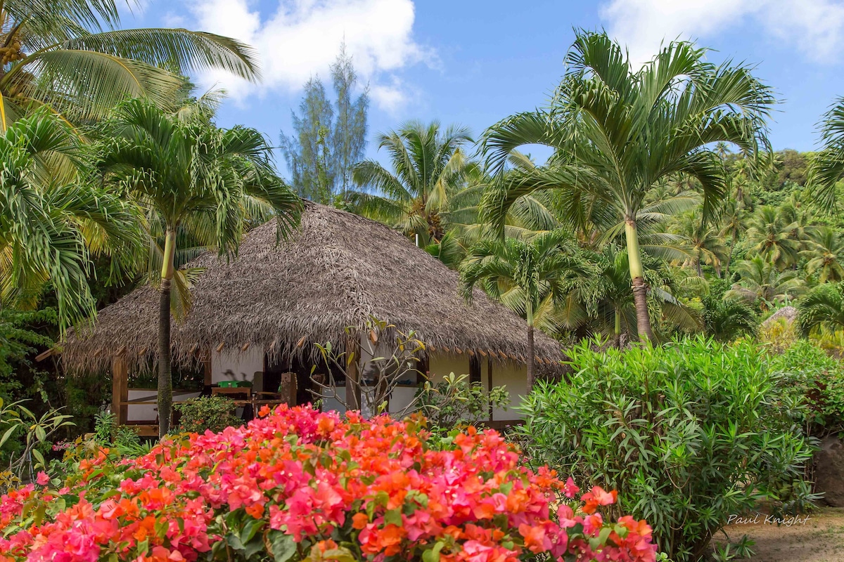 A thatched-roof hut surrounded by lush greenery and vibrant pink flowers.