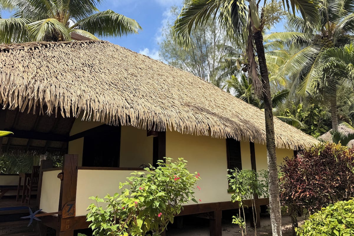 A thatched-roof hut with a wooden structure, surrounded by lush greenery and palm trees.