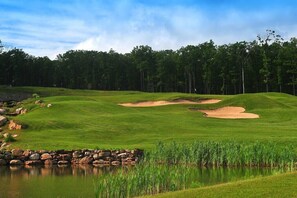 Golf - CozyCottageGetaway;PetFriendly;FencedYard;Lake;Beach;Pool;JimThorpe;WaterPKs,SKI (Albrightsville)