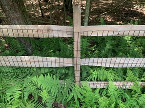 Una cerca de madera con malla de alambre, rodeada de helechos verdes y frondosos.