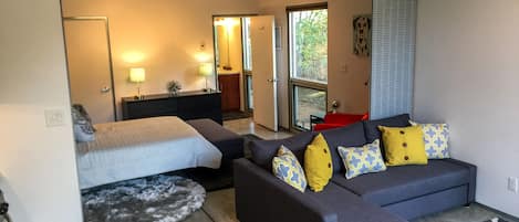 Flat-screen TV, Netflix, streaming services