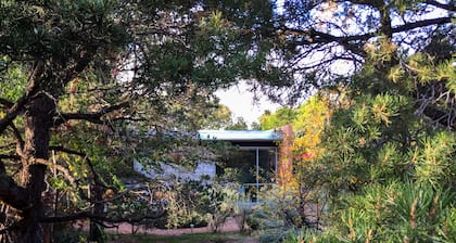 Florecitas es una nueva casa de huéspedes contemporánea. Hermosa brillante contemporanea