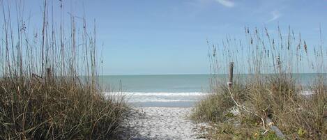 In Strandnähe, Sonnenschirme, Strandtücher