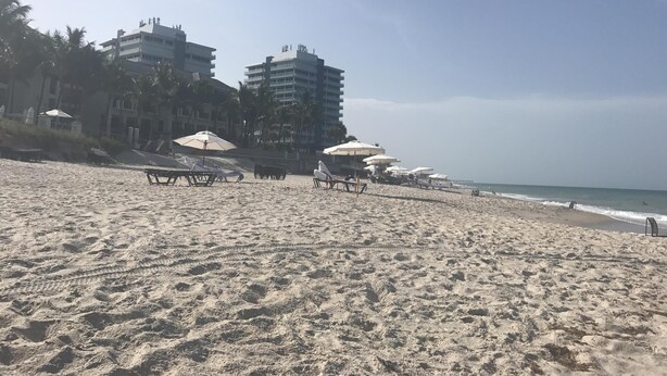 Una playa con tumbonas y sombrillas, un edificio de varios pisos y un cielo despejado.