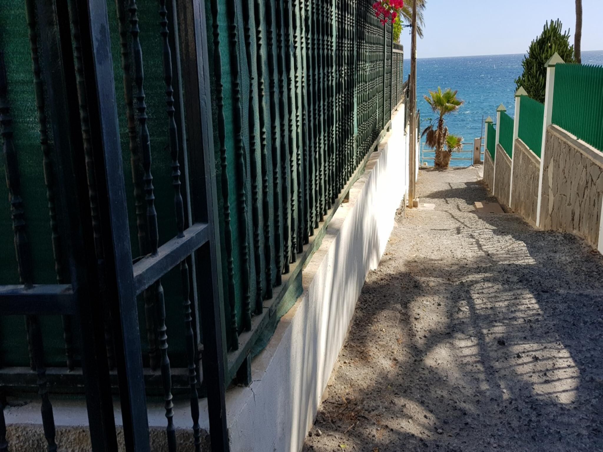 A coastal walkway with a metal fence, a palm tree, and a view of the sea.