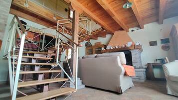 TV, fireplace, books
