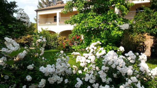 A building with a balcony and a garden with white roses.