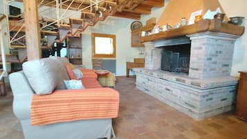 Télévision, cheminée, livres