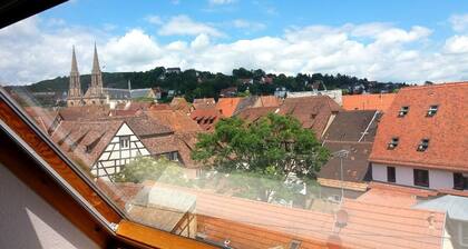 NEW In the heart of the city center of Obernai in Alsace, charming and cozy duplex