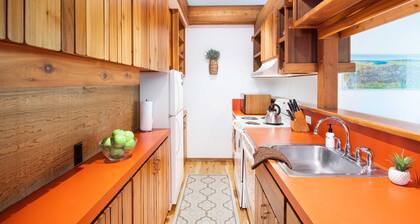 Outpost: Hollyhock 2024