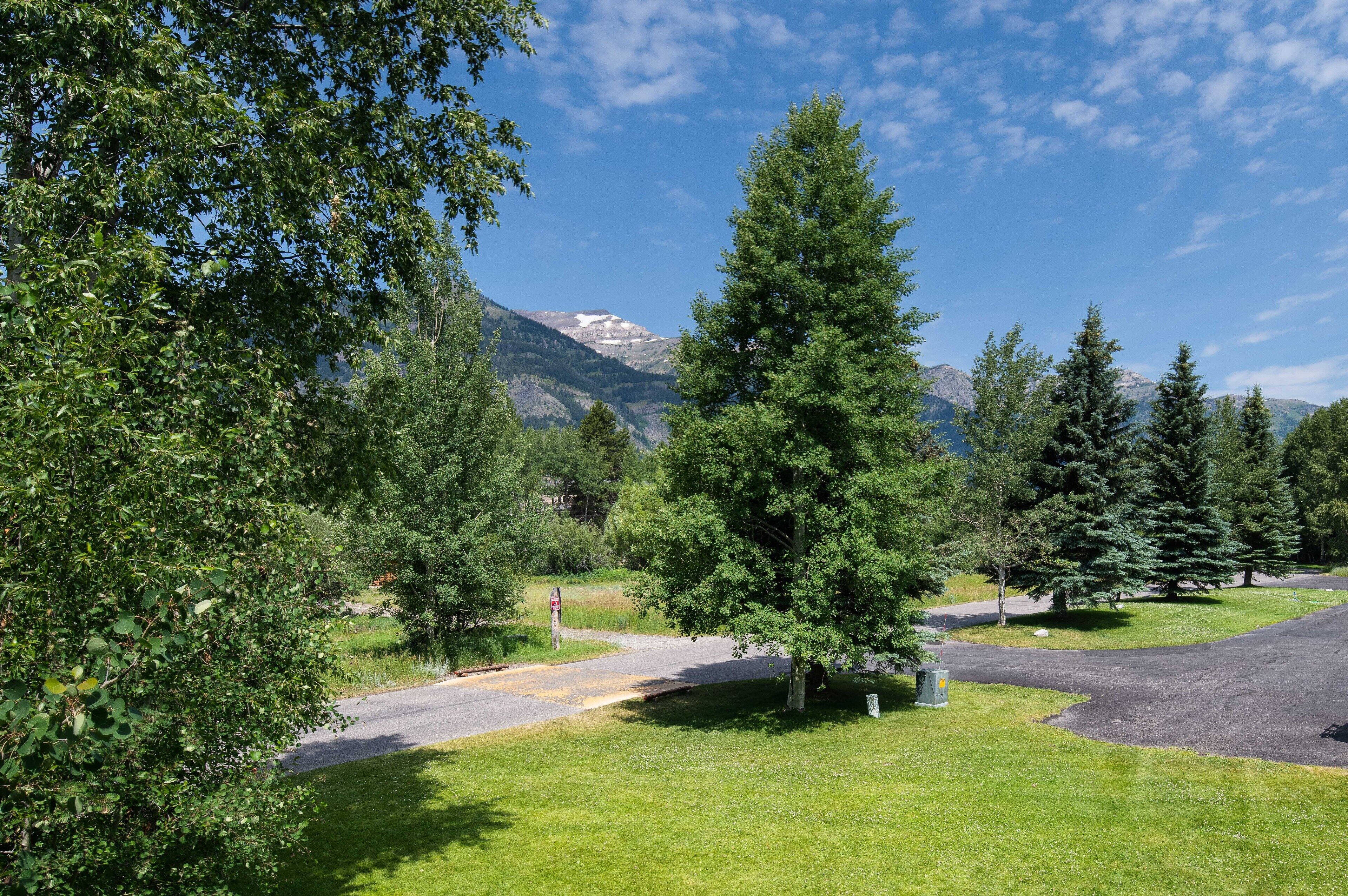 Une route sinueuse traversant un paysage verdoyant, avec des arbres et une montagne en arrière-plan.
