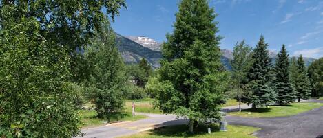 Une route sinueuse traversant un paysage verdoyant, avec des arbres et une montagne en arrière-plan.