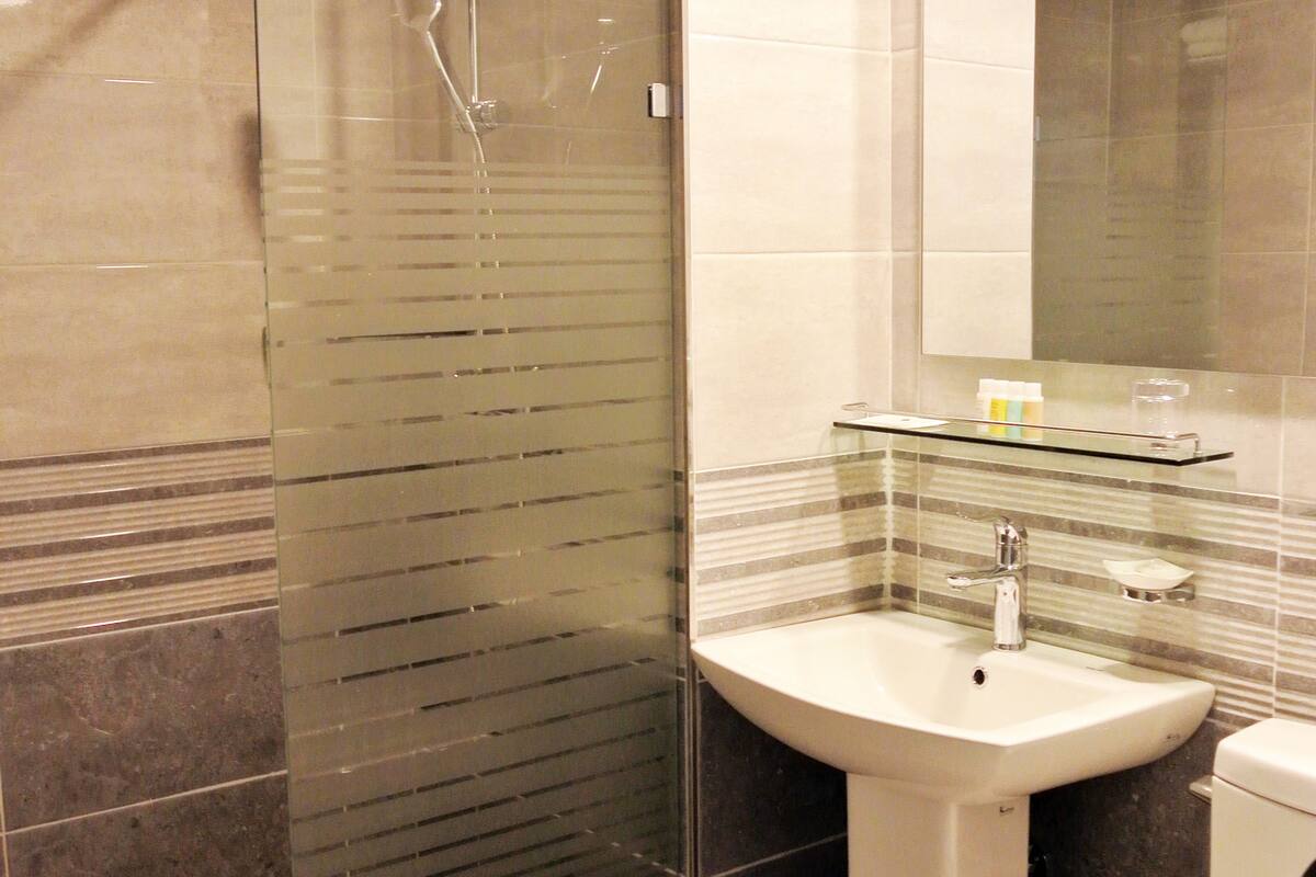 shower, free toiletries, hair dryer, slippers