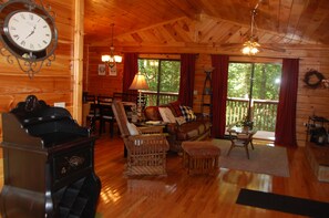TV, fireplace, video games, DVD player