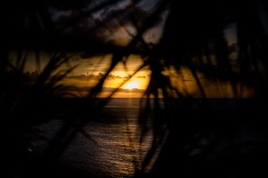A sunset over a body of water with silhouettes of trees in the foreground.
