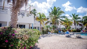 Un resort con piscina, palmeras y sillas de descanso.