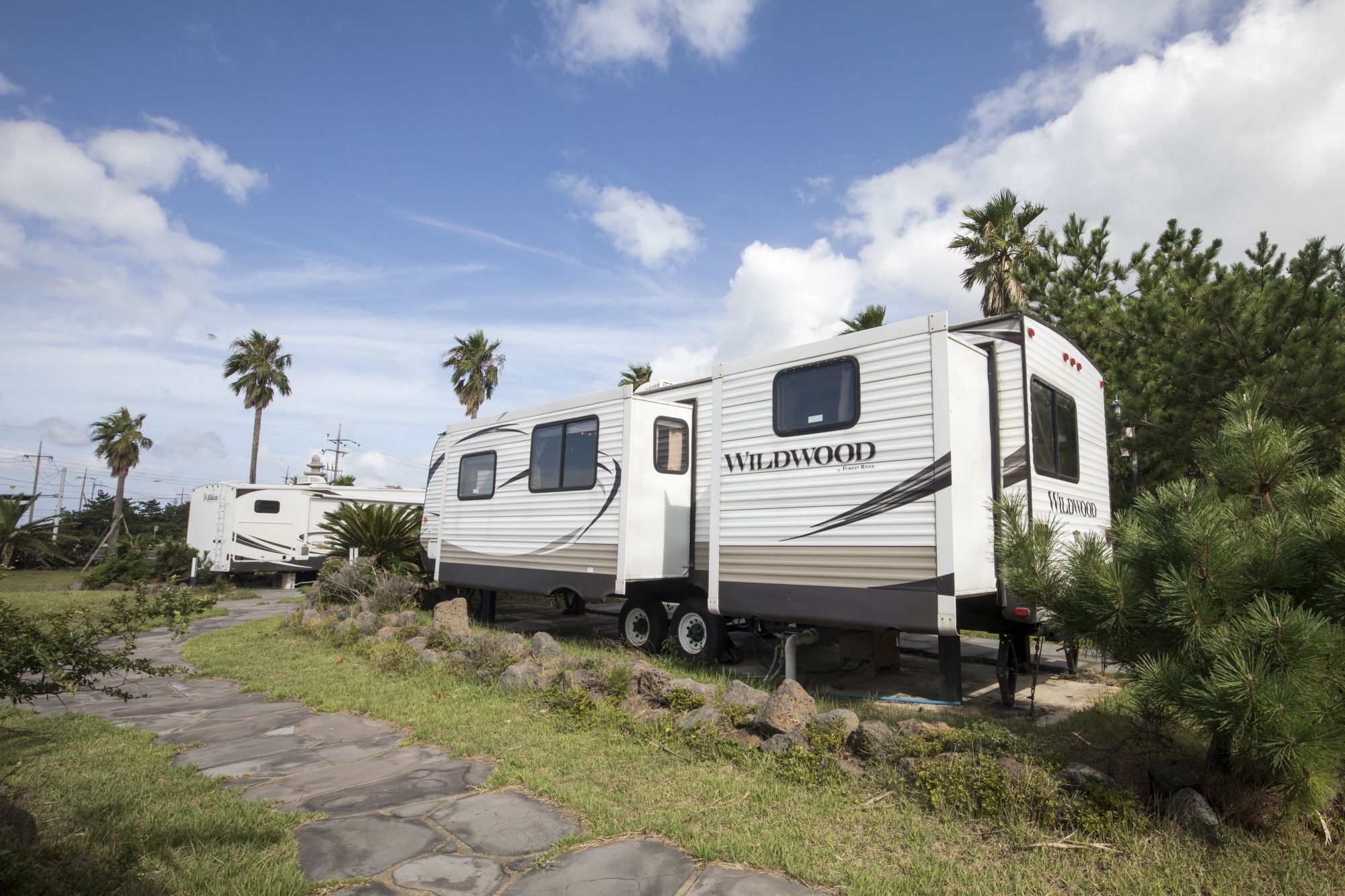 A Wildwood RV parked in a grassy area with palm trees and a stone pathway.