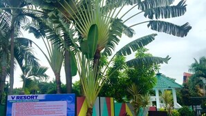 A signboard for V Resort with visible resort rules and regulations. - V Resort Dasma (Dasmarinas)