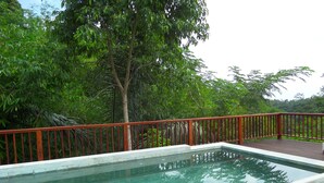 Piscina rectangular con barandilla de metal rojo, rodeada de vegetación exuberante.