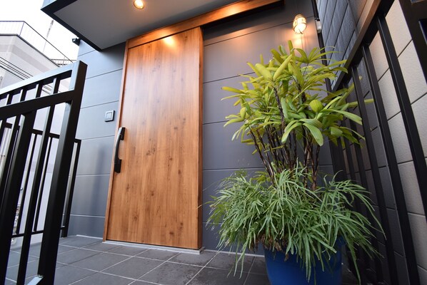 A wooden door with a modern design, a potted plant, and a gated entrance.
