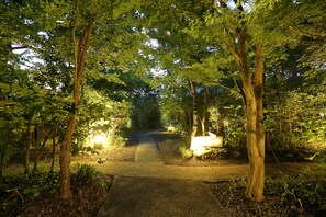 A pathway through a wooded area with trees on either side and a light source on the right.