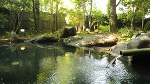 A tranquil outdoor setting with a water feature, rocks, and lush greenery. - Shinwaen (Aso)