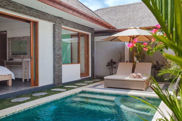 Outdoor pool - Two Lizards Villas (Denpasar)
