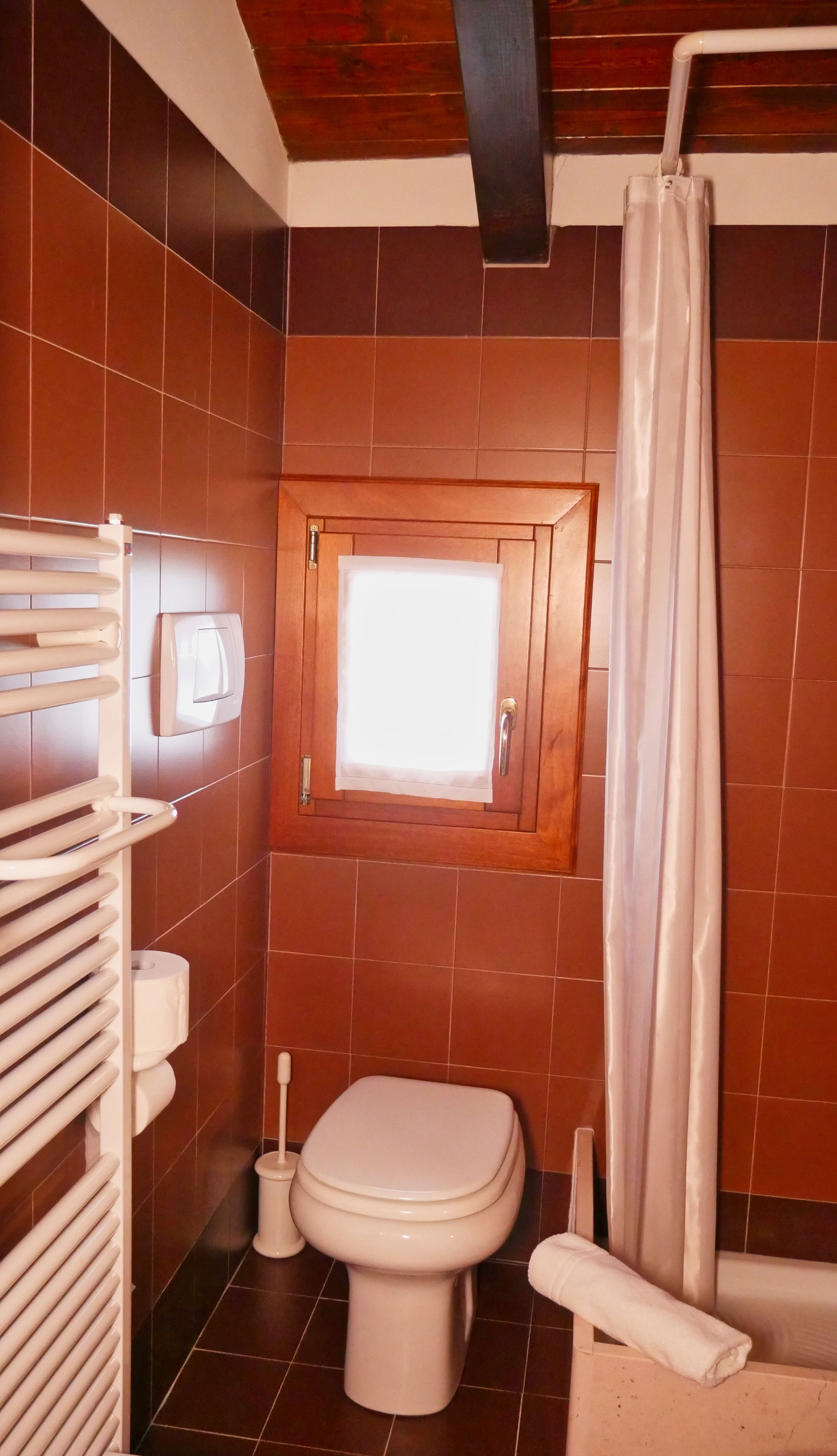 shower, free toiletries, hair dryer, bidet