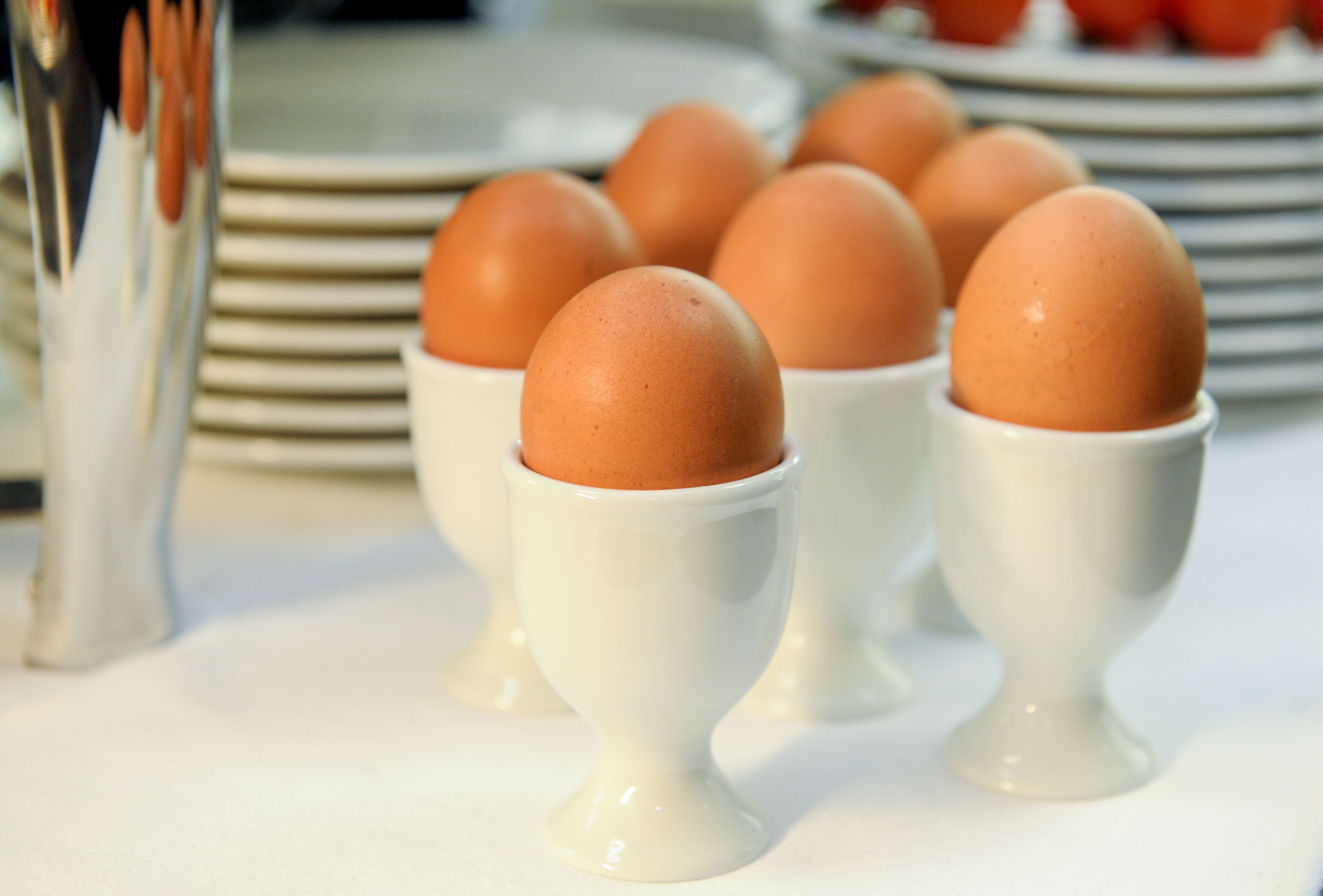 daily continental breakfast (eur 15 per person)