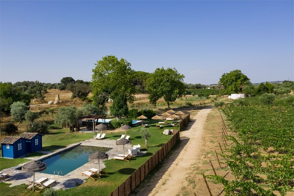 A pool area with lounge chairs and umbrellas, surrounded by a vineyard and trees. - Casa do Governador (Évora)