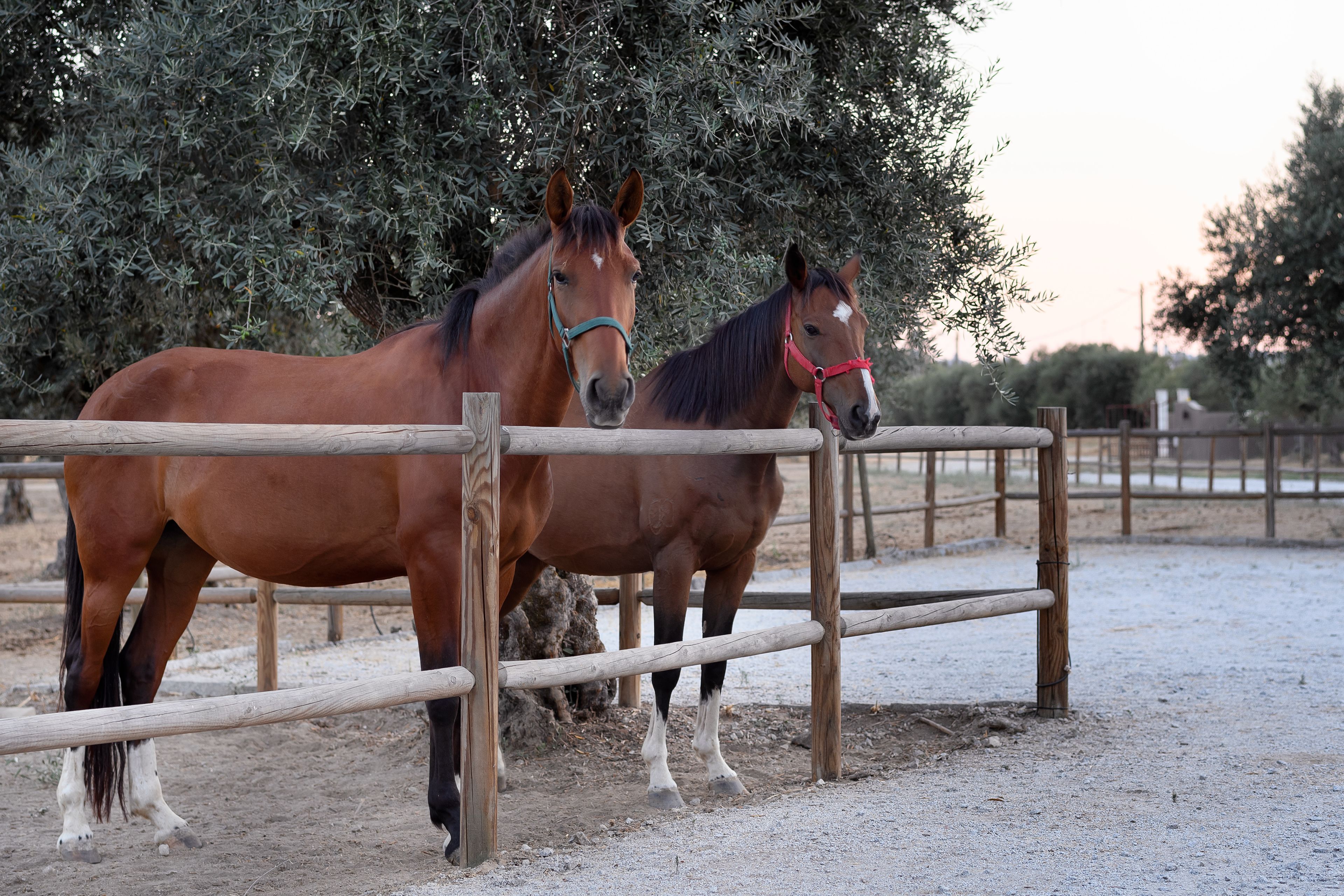 Foto - A Casa do Governador