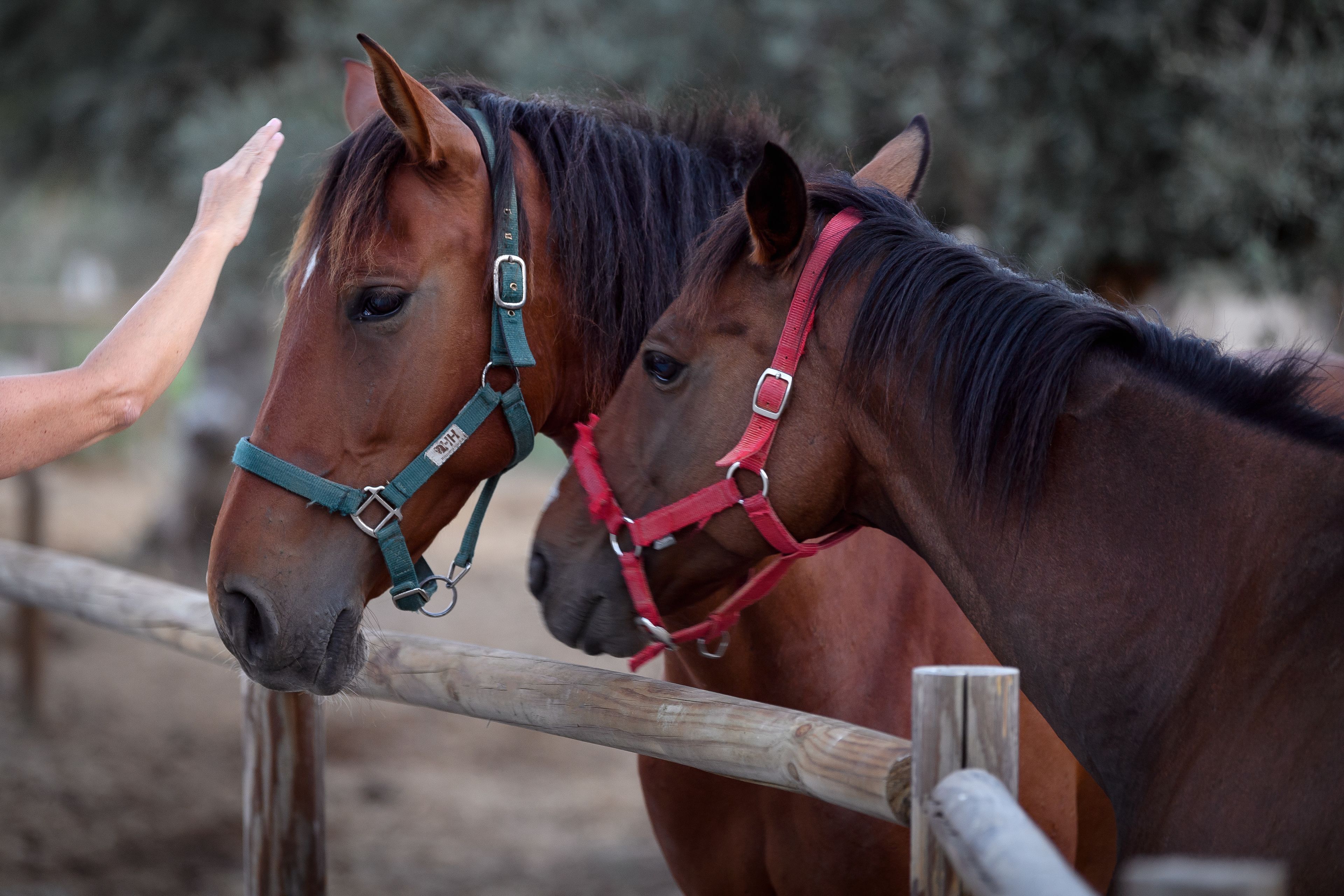 Foto - A Casa do Governador