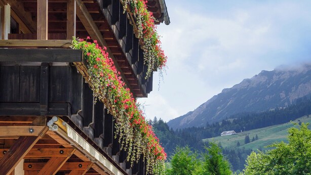 Ein hölzernes Gebäude mit Balkonen, die mit Blumen geschmückt sind, mit Blick auf eine gebirgige Landschaft und Außenbestuhlung.