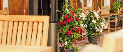 Solterrasse