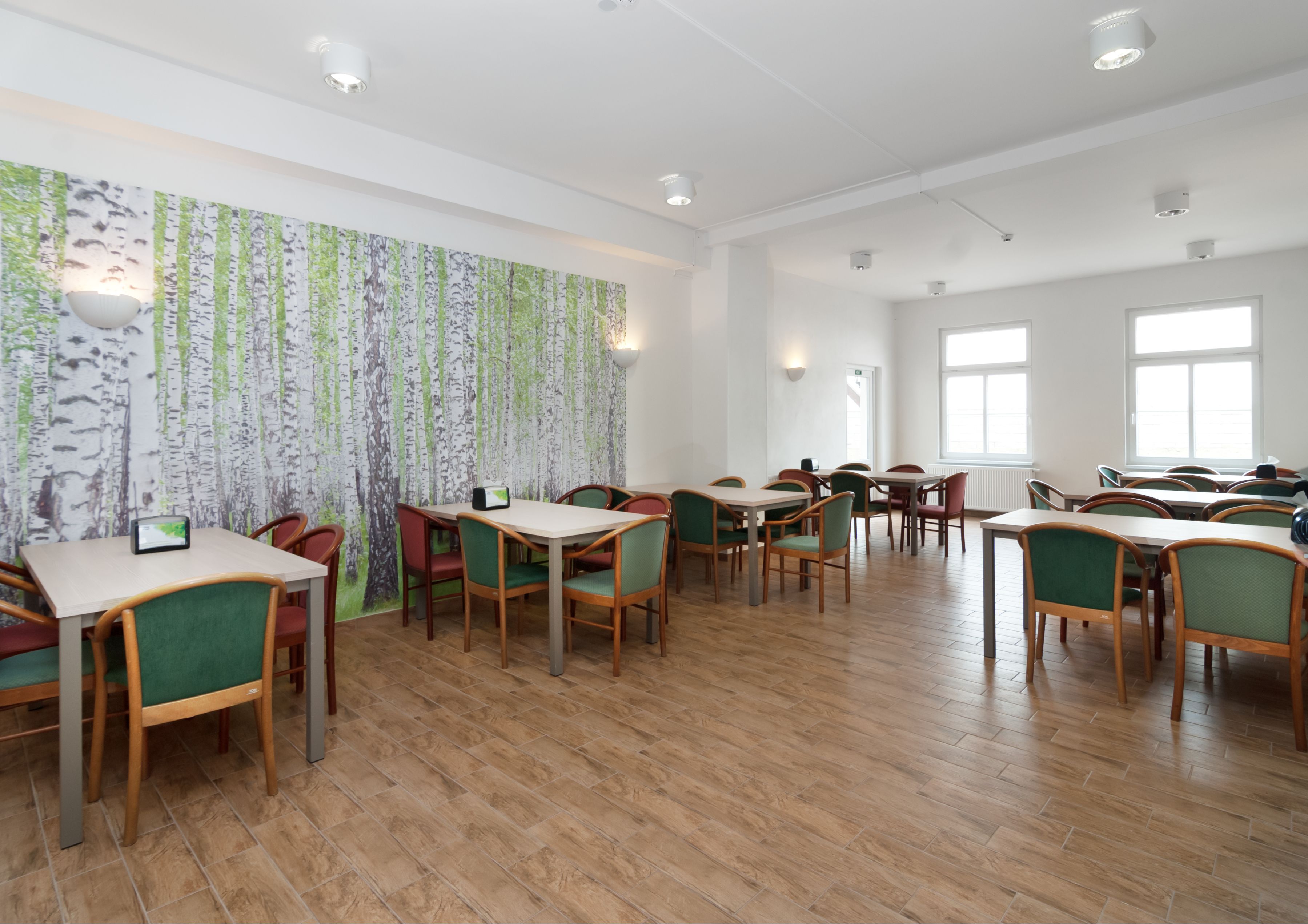 A spacious dining area with wooden tables and chairs, a forest-themed wall mural, and large windows allowing natural light.