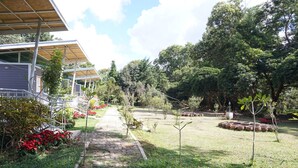 A pathway leading to a building with a covered entrance, surrounded by greenery and potted plants. - Sonseesaed Farm (Phu Ruea)