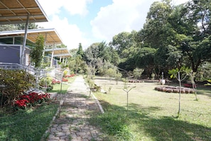 Property grounds - Sonseesaed Farm (Phu Ruea)