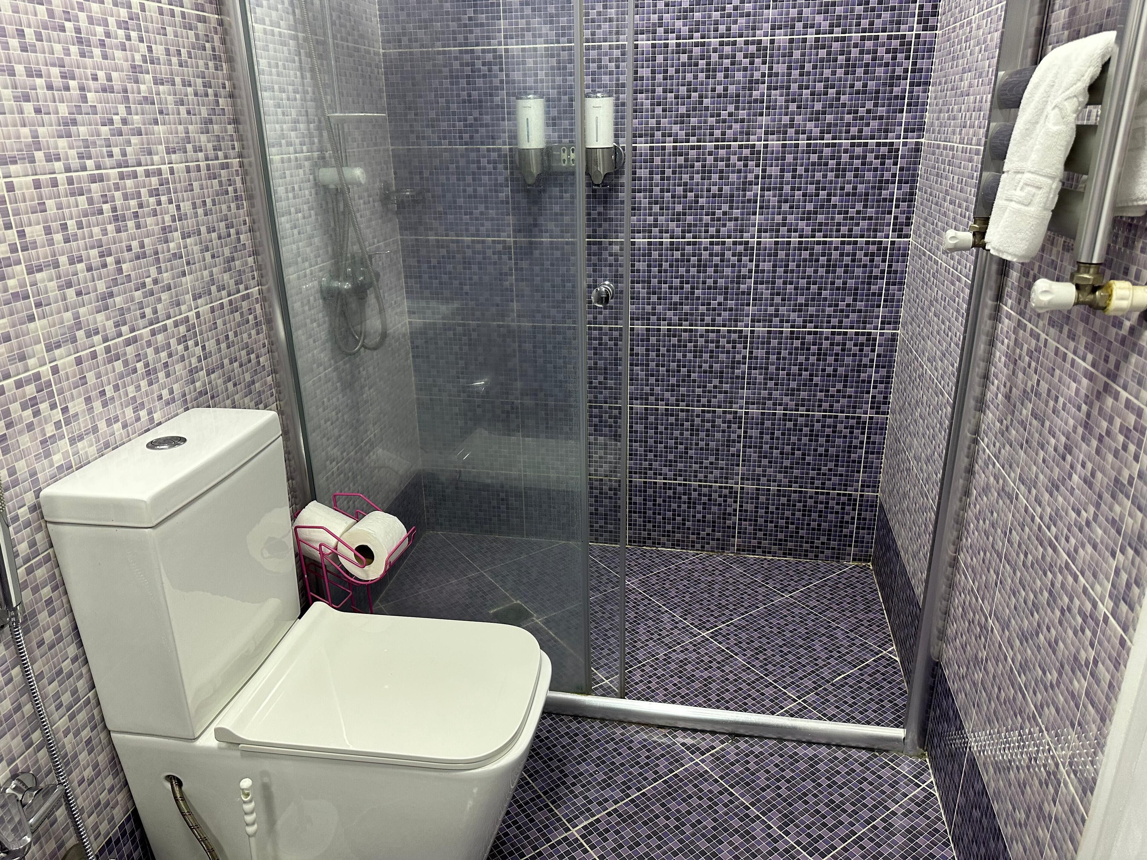 A bathroom with a toilet, a shower with a glass door, and a tiled floor.