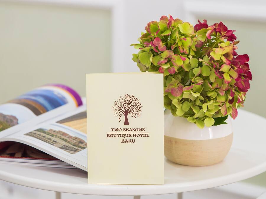 A brochure titled "Two Seasons Boutique Hotel Baku" and a potted plant with green and red leaves on a white table.