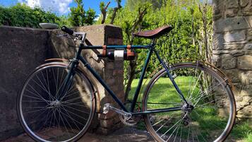 Un vélo ancien est garé contre un mur de pierre, dans un jardin.